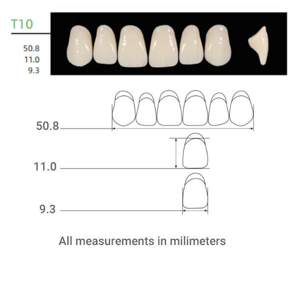 Huge Kaili Synthetic Polymer Teeth Upper Anterior Shade A2 Full Box 16sets/6pcs