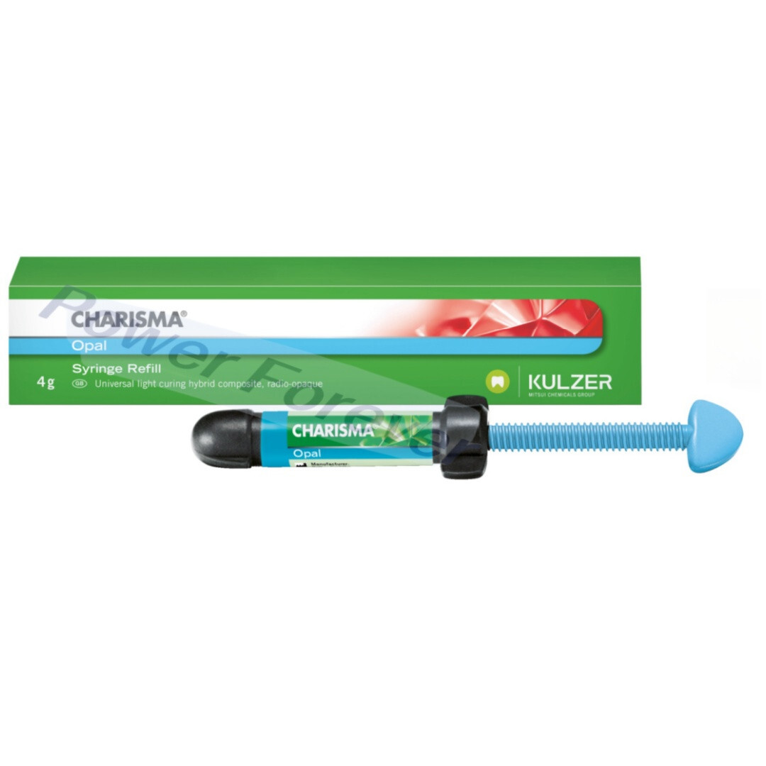 3Sizes Dental KULZER CHARISMA Composite Syringe Light Cure Resin OB/BL/BXL 4g/pc