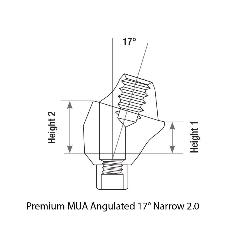 CAD/CAM Set Angulated 17° Multi Unit Abutment Int Hex 2.0 PEEK Scan Body Ti Base