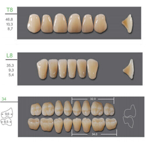 Huge Kaili Synthetic Polymer False Teeth Shade A3.5 Full Set: 28 teeth/set 4 set