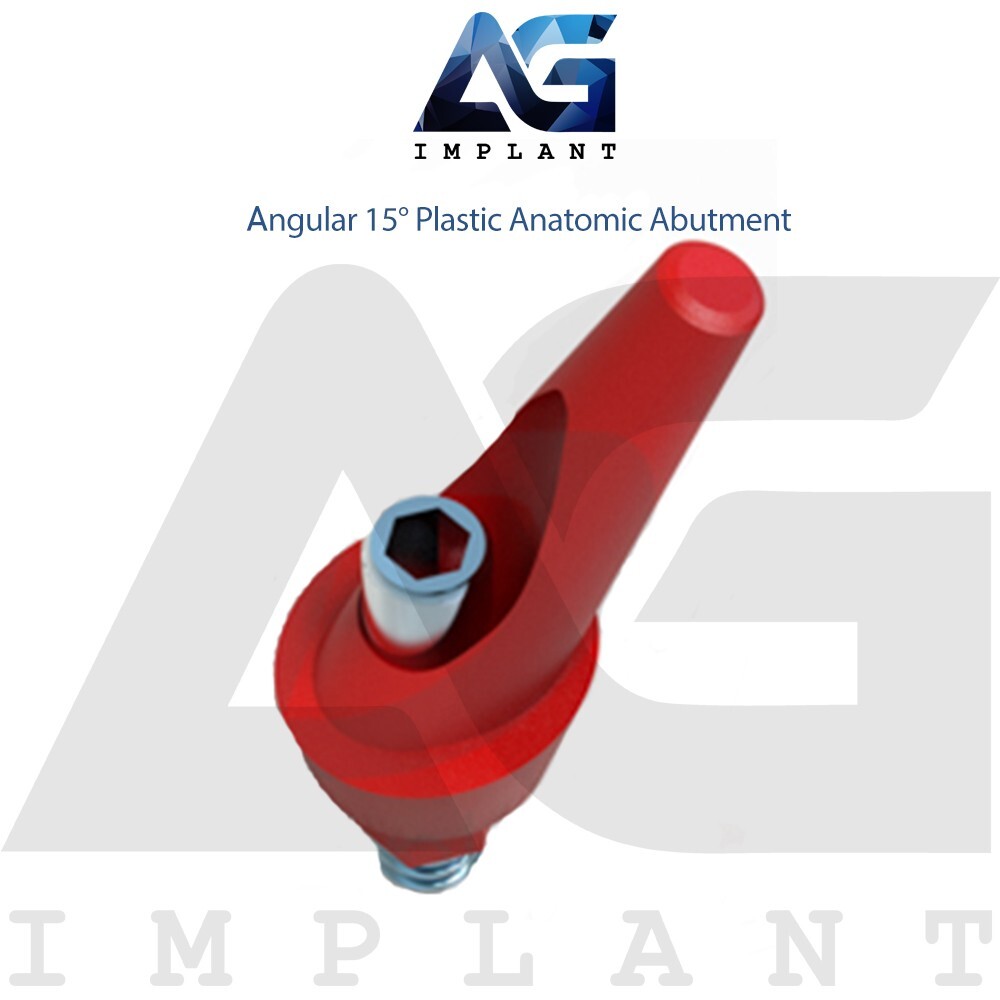 10 Angular 15° Plastic Anatomic Prosthetic System Casting Int Hex 2.42mm