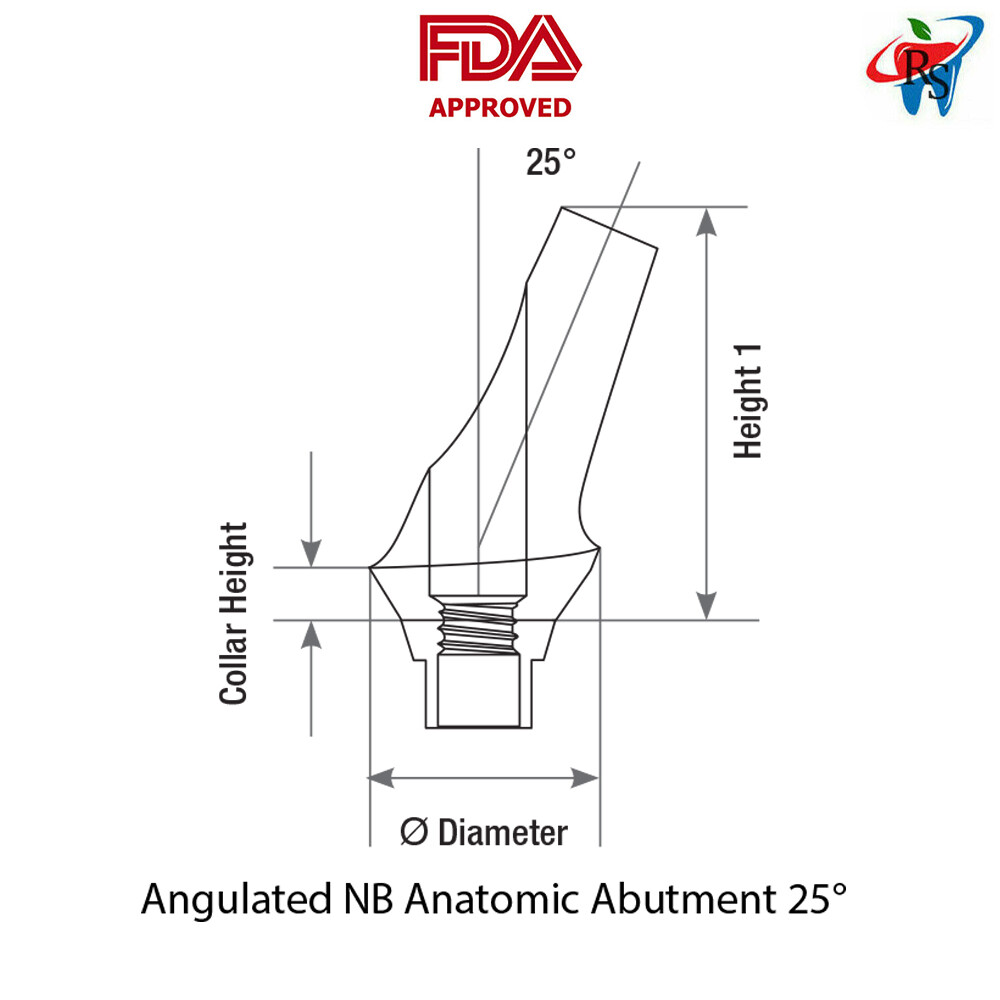 1pcs Dental Abutment Anatomic Angulated 25° Conical Connection RPØ5.0-4.3mm