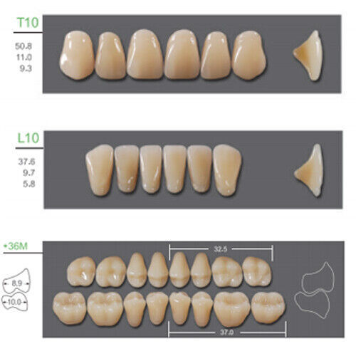 Huge Kaili Synthetic Polymer False Teeth Shade A1 Full Set: 28 teeth/set 4 sets