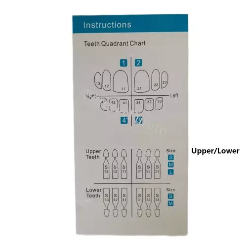 Dental Veneers Mould Composite Resin Anterior Posterior Teeth Molar Restoration
