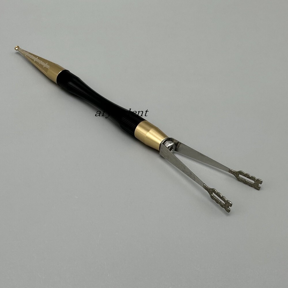 Zirconia Anterior Posterior Crown Bridge Holder Crown Dental Crowns Remover