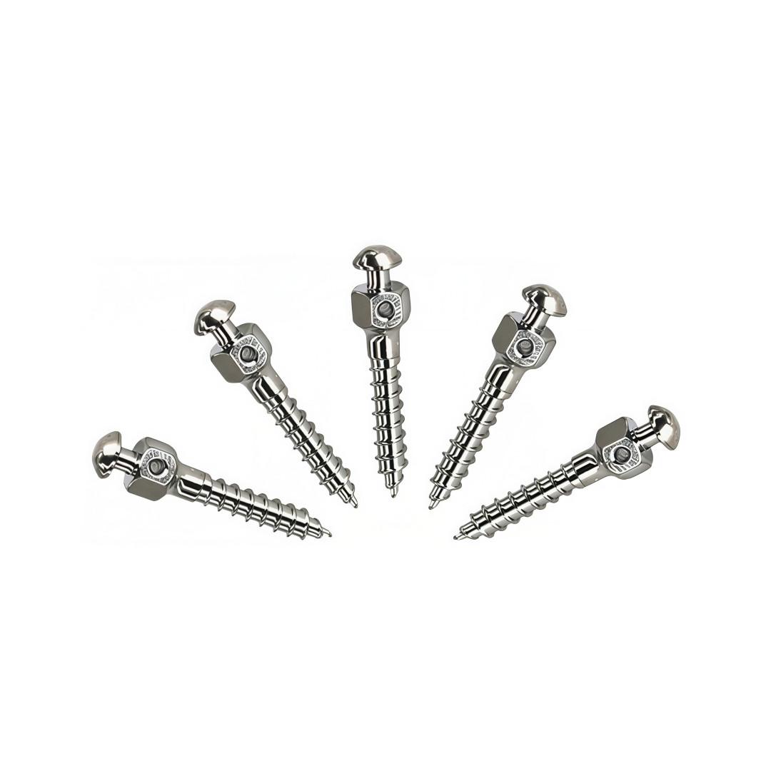Dental Orthodontic Titanium Micro Implan Mini Screws Self-Drilling Screwdriver