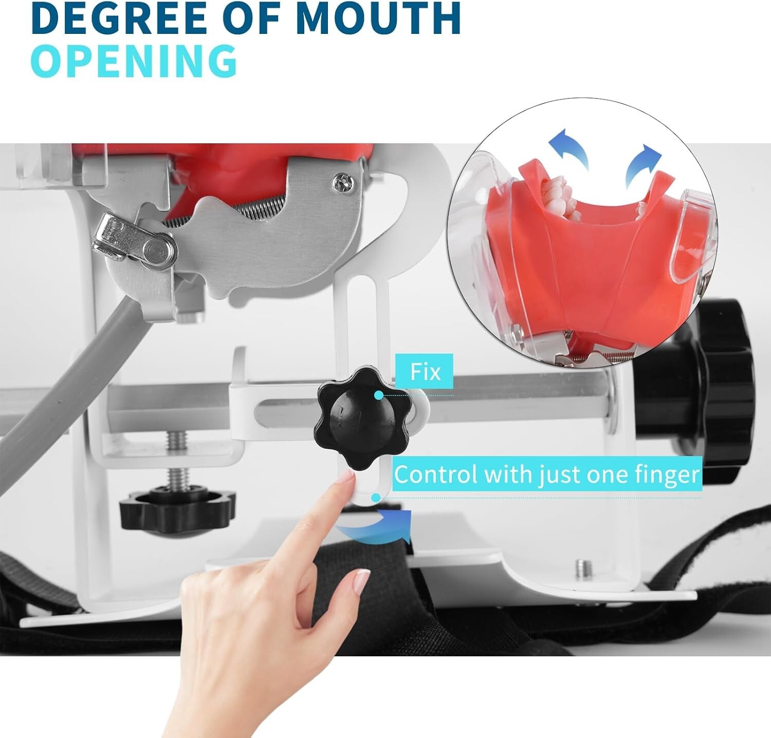 Dental Simulator Mannequin Head Teeth Model Teaching Practicing Head Mold desk