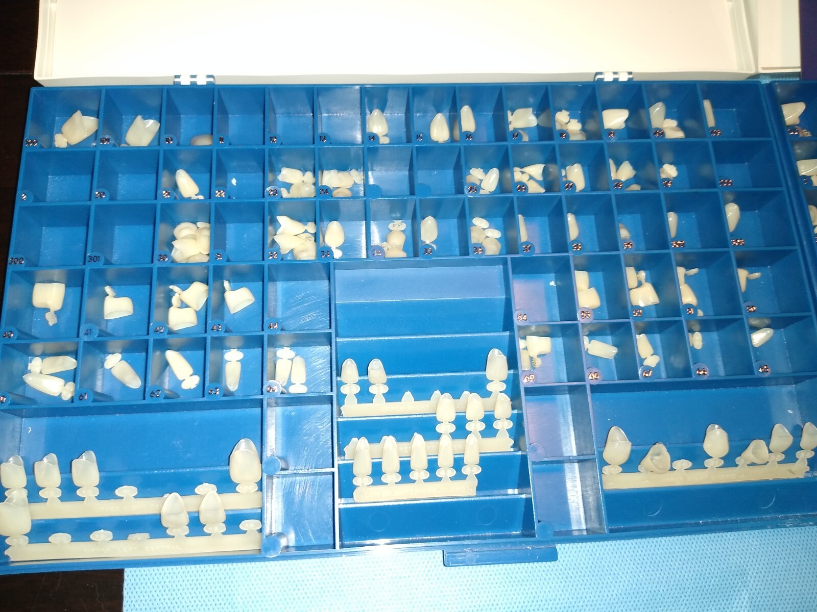 Cargus Rite Dent Benco PolyCarbonate Crowns Pre Owned Partial Kits and Vitapan