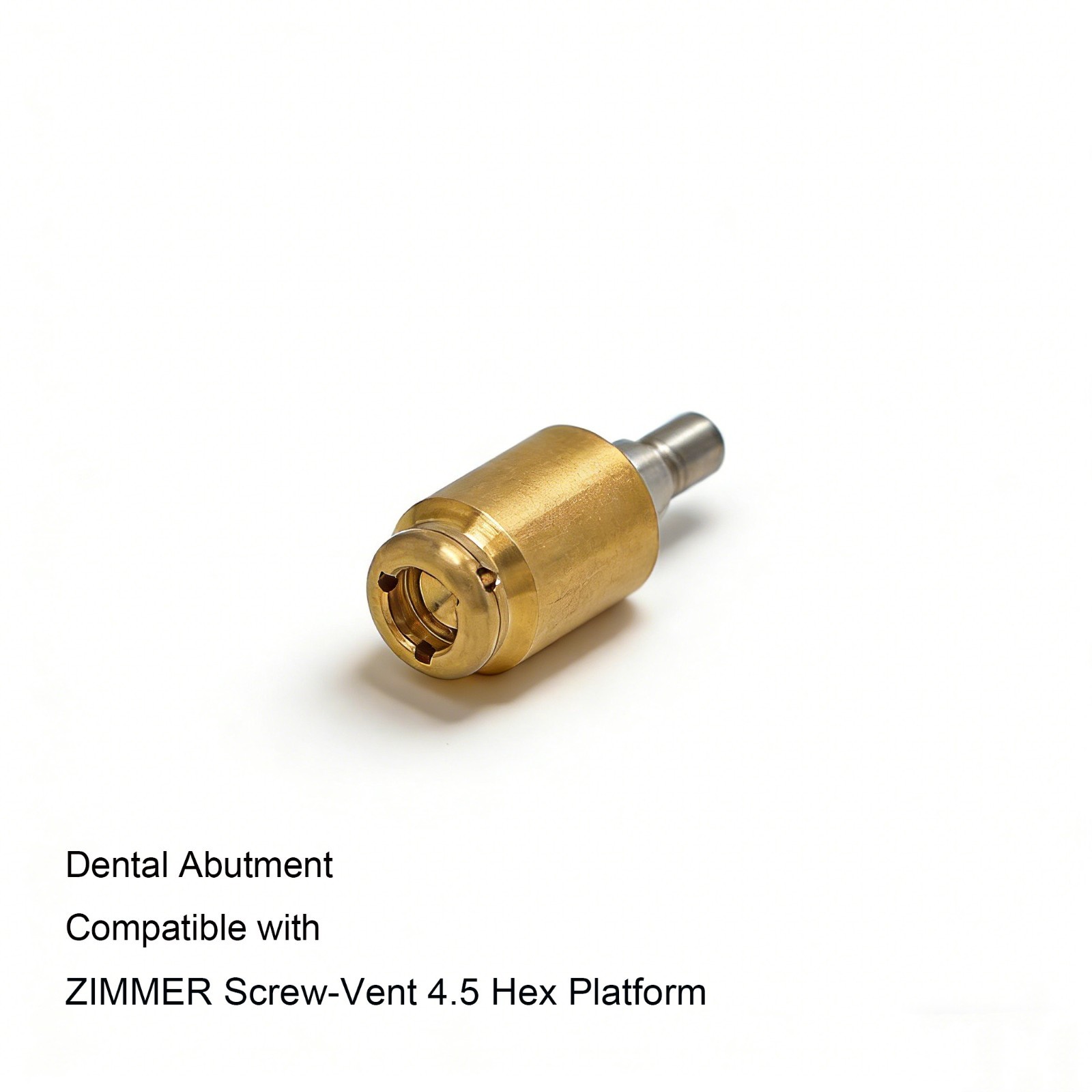 Overdenture abutment ZIMMER TSV 4.5mm Inter Hex platform zest locator system fit