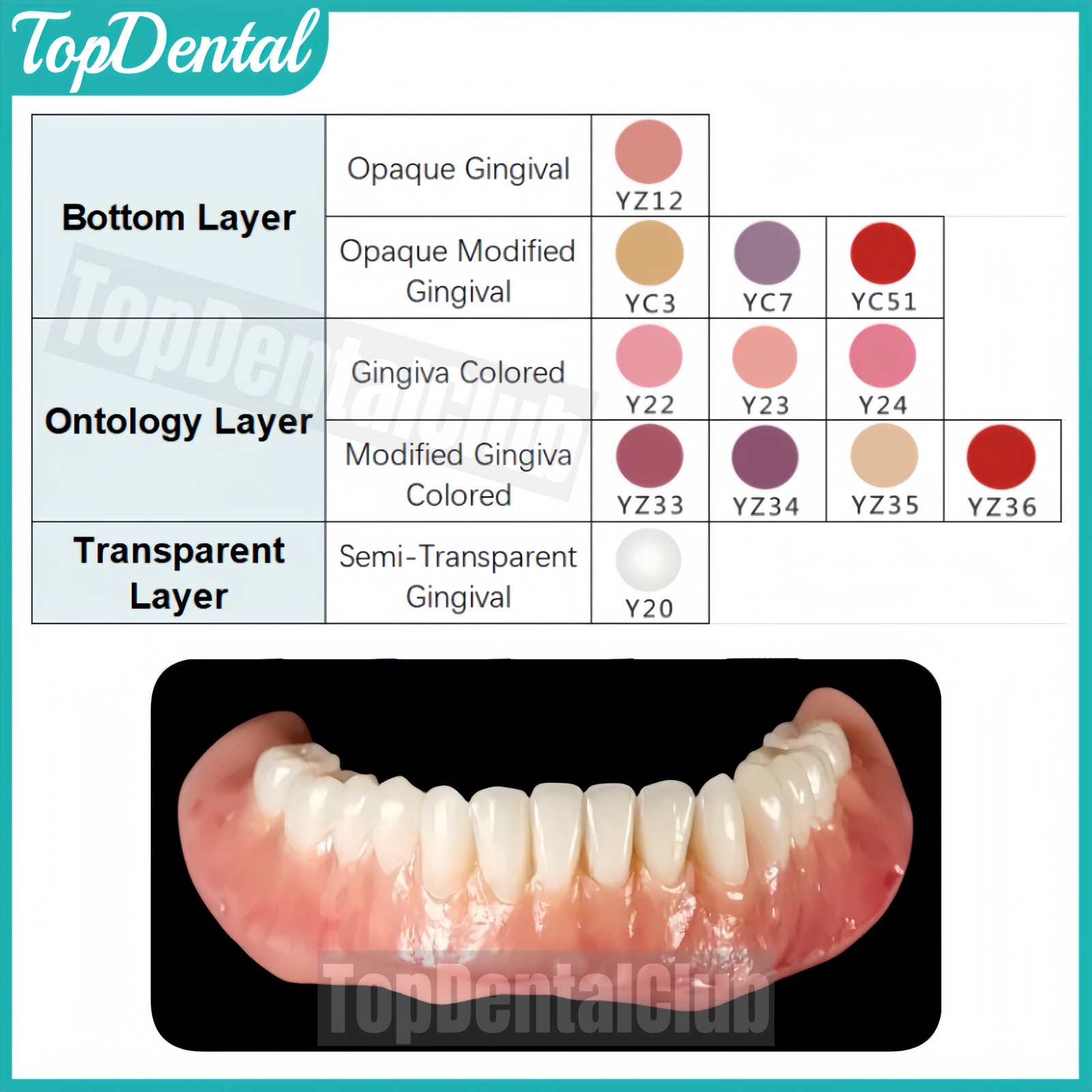 Opaque Modified Gingiva Dental Gingiva Aesthetic 3D Gum Composite Pink Resin 4g