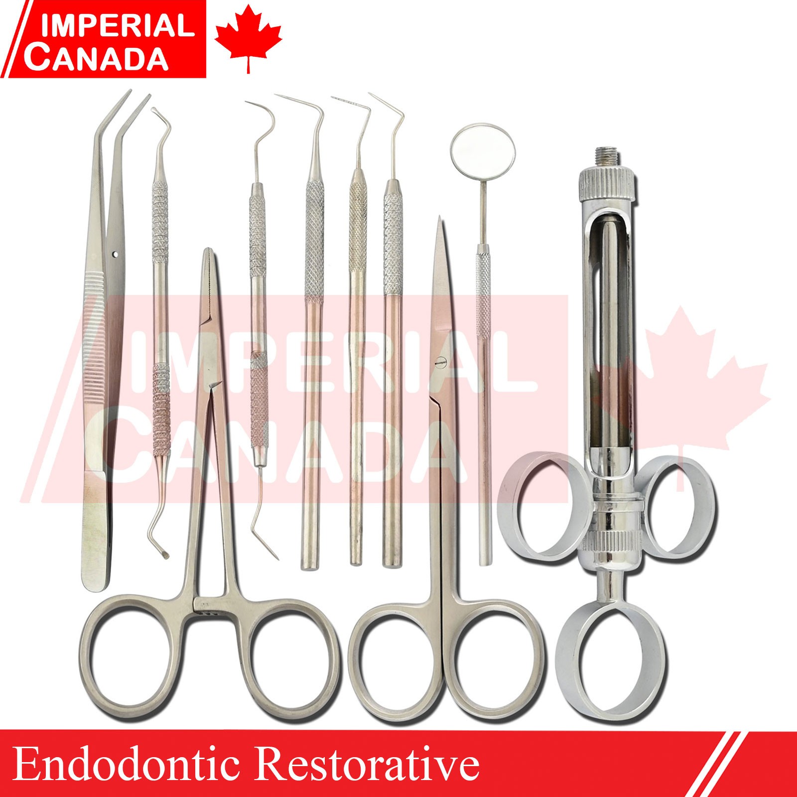 Endodontic Diagnosic Kit Root Canal Restorative Instruments Set Of 9 DS-2228