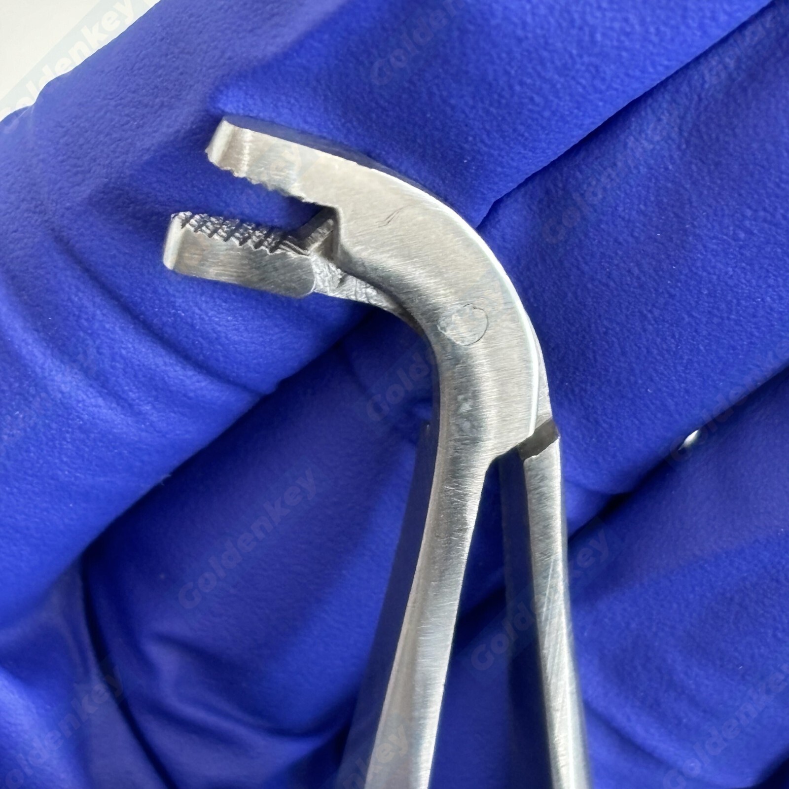 Dental Matrix Forceps Holder Clamp Matrices Tweezer Matrix Bands Placing Plier