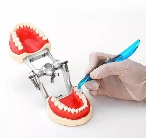 Dental Veneers Mould Composite Resin Anterior Posterior Teeth Molar Restoration