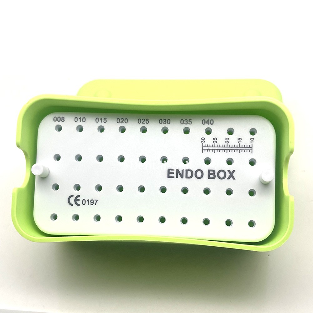 40 Holes Dental Endo Burs Box Endodontic Files Holder Disinfection Box w Ruler