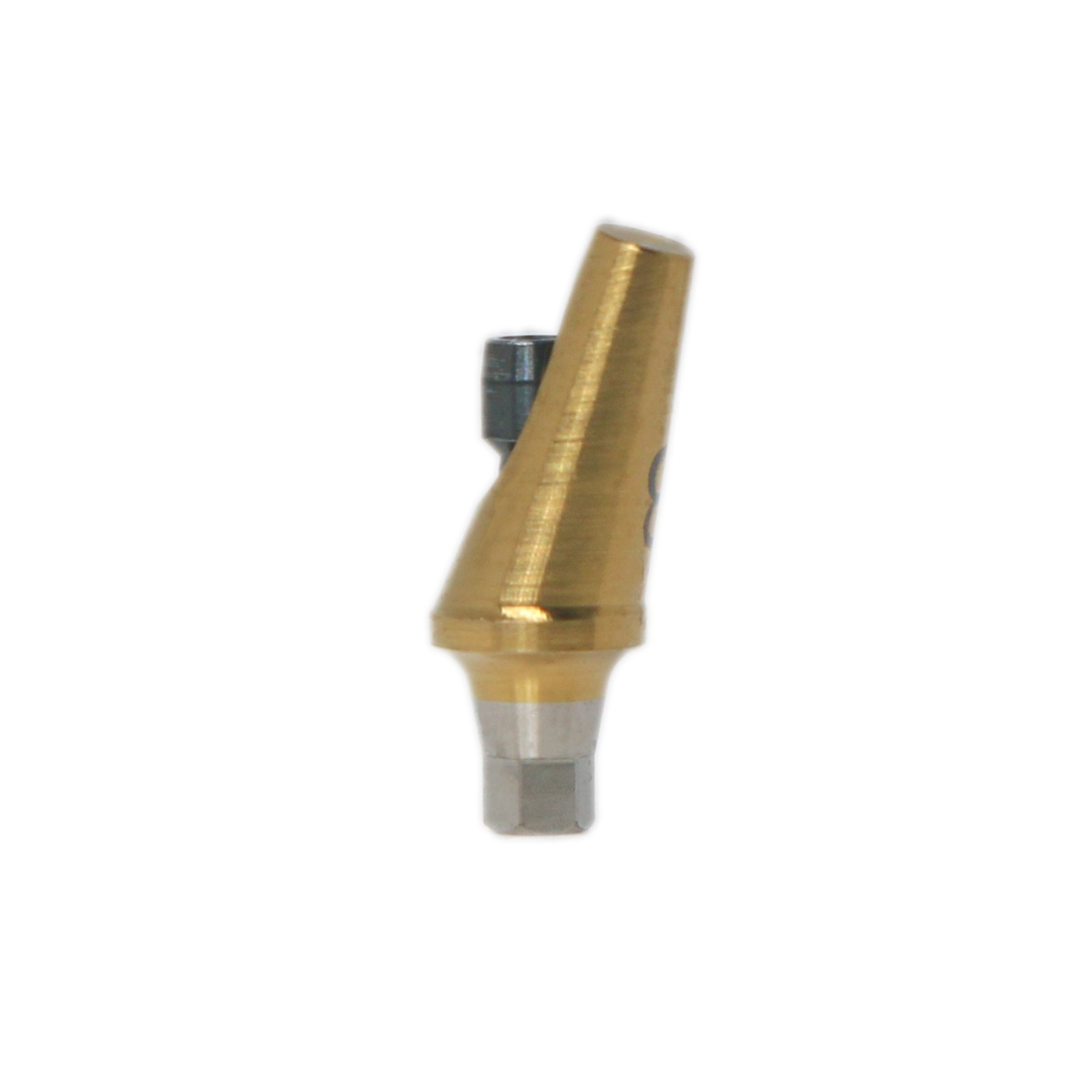 Dental 17° Angled Abutment Anatomic Fits Hiossen Osstem TS Hex Mini Platform