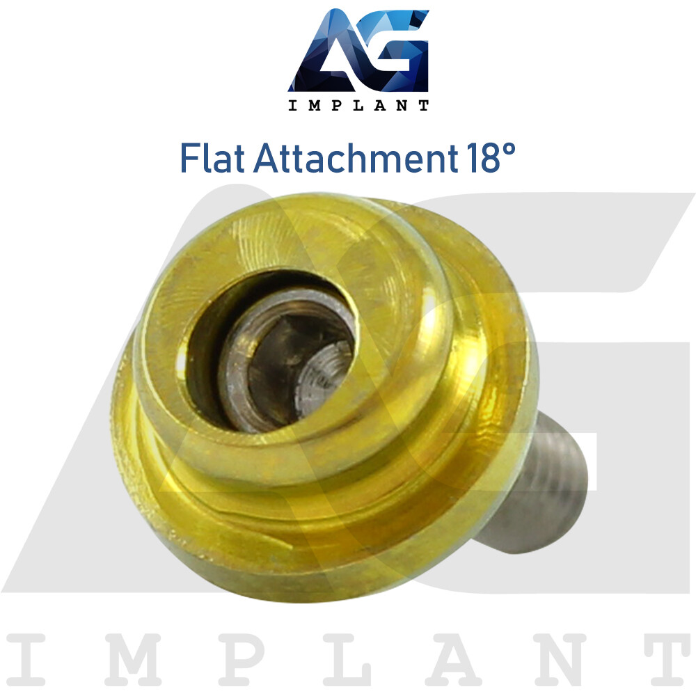 Angled 18° Flat Attachment Standard Silicone Set Titanium Int Hex 2.42mm