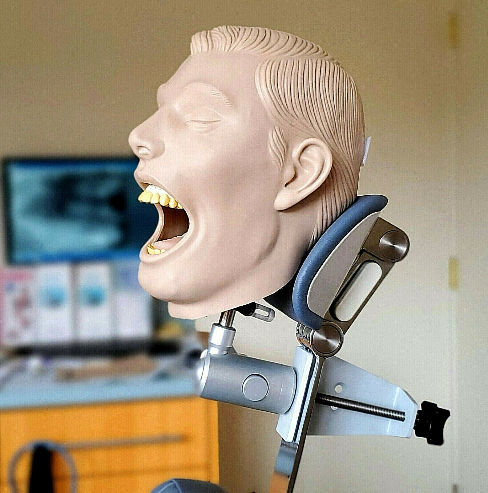 Dental Teeth X-Ray MANIKIN Practice Exam Simulator Training Model Teach Phantom