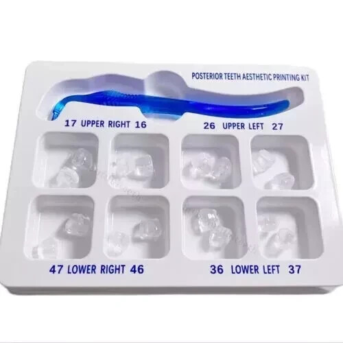 Dental Veneers Mould Composite Resin Anterior Posterior Teeth Molar Restoration