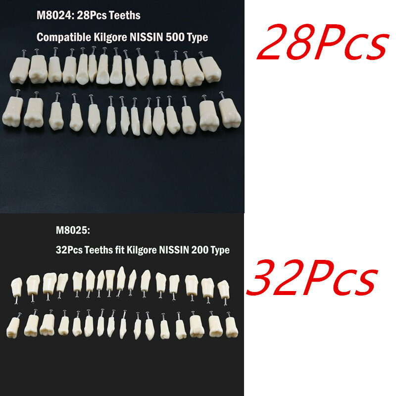 2 Set Dental Removable Screw-in Typodont Grain Teeth 28Pcs+32Pcs Tool Instrument