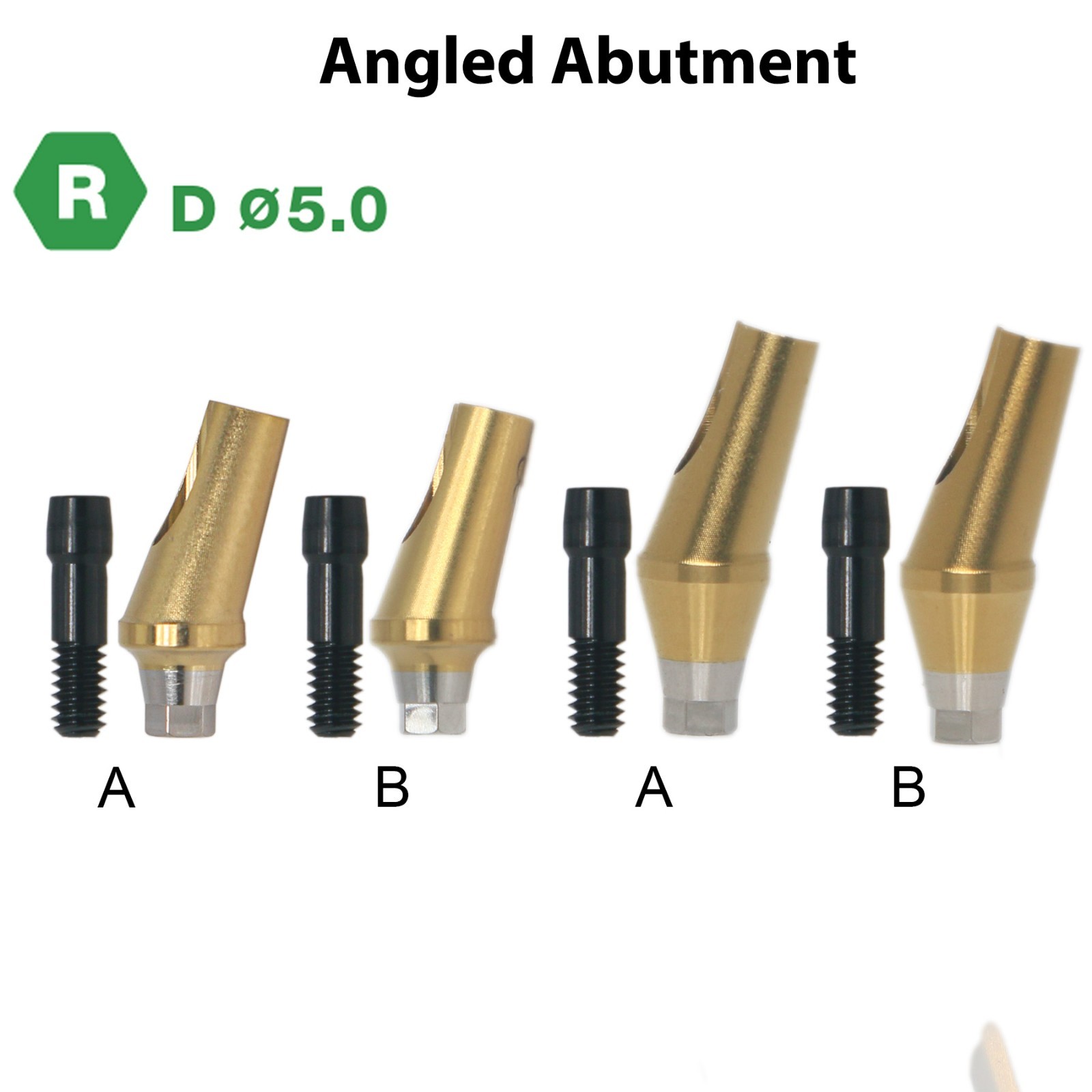 17° Angled Anatomic Abutment Regular Fits Hiossen Osstem TS Ø4.5/5.0mm Platform