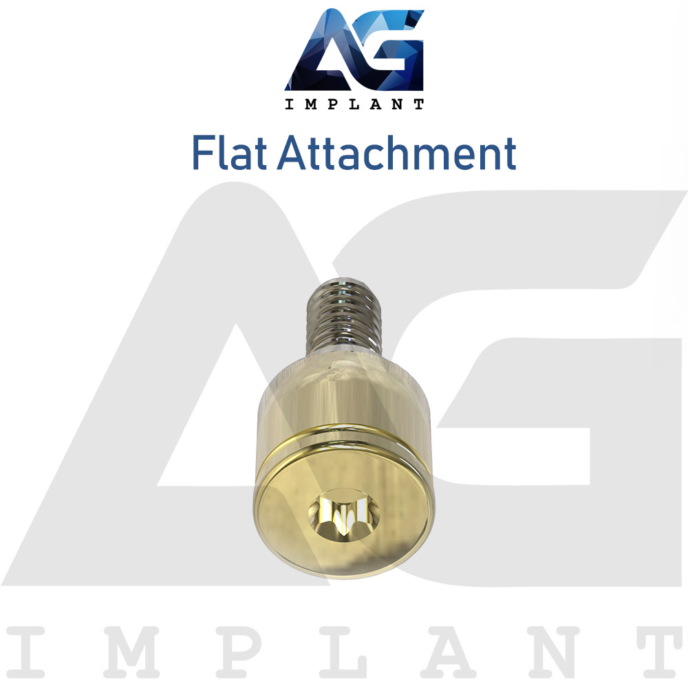 20 Flat Attachment Titanium Overdenture Dental Int Hex Connection 2.42mm