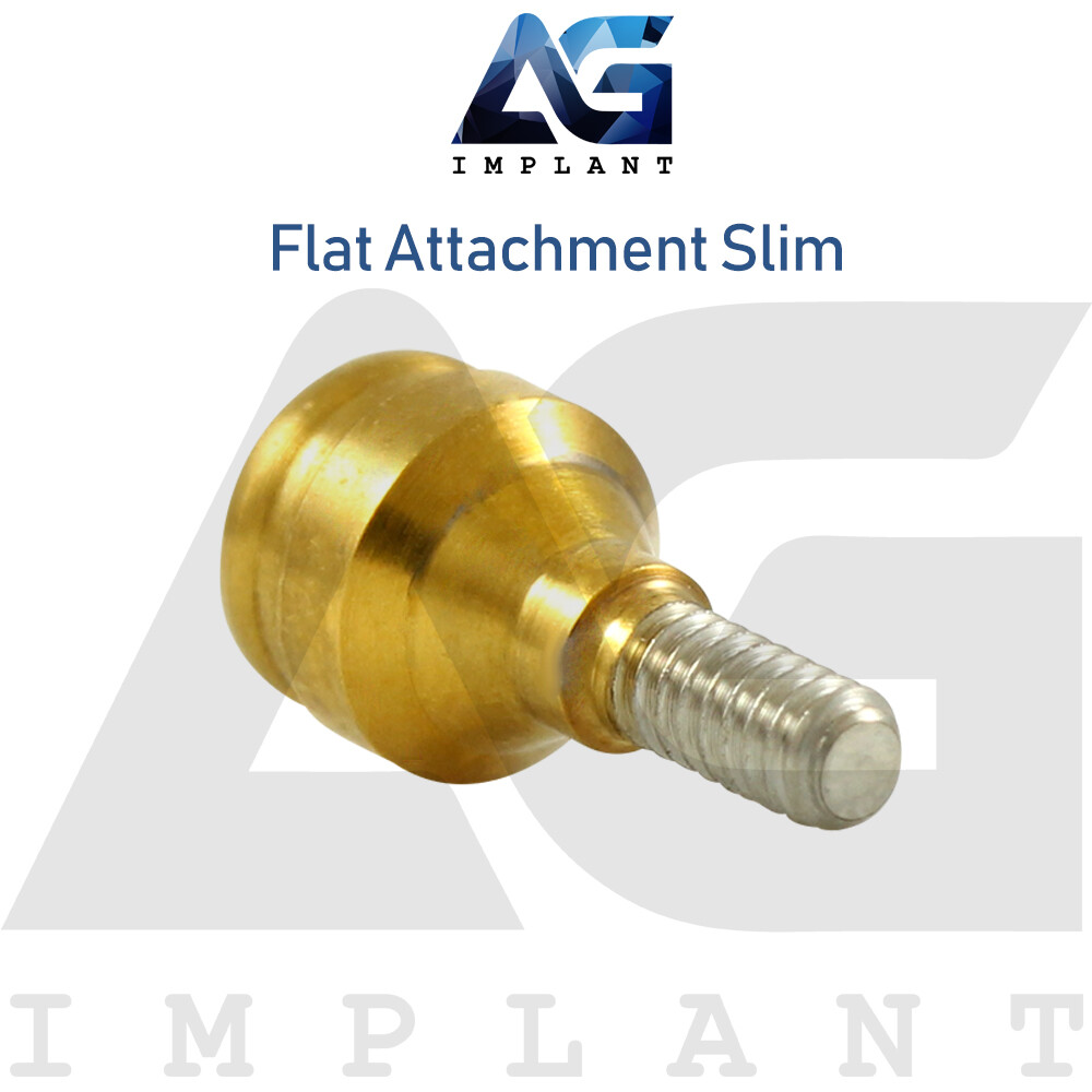 Slim Platform Straight Flat Attachment Standard Set Titanium Int Hexagon 2.0