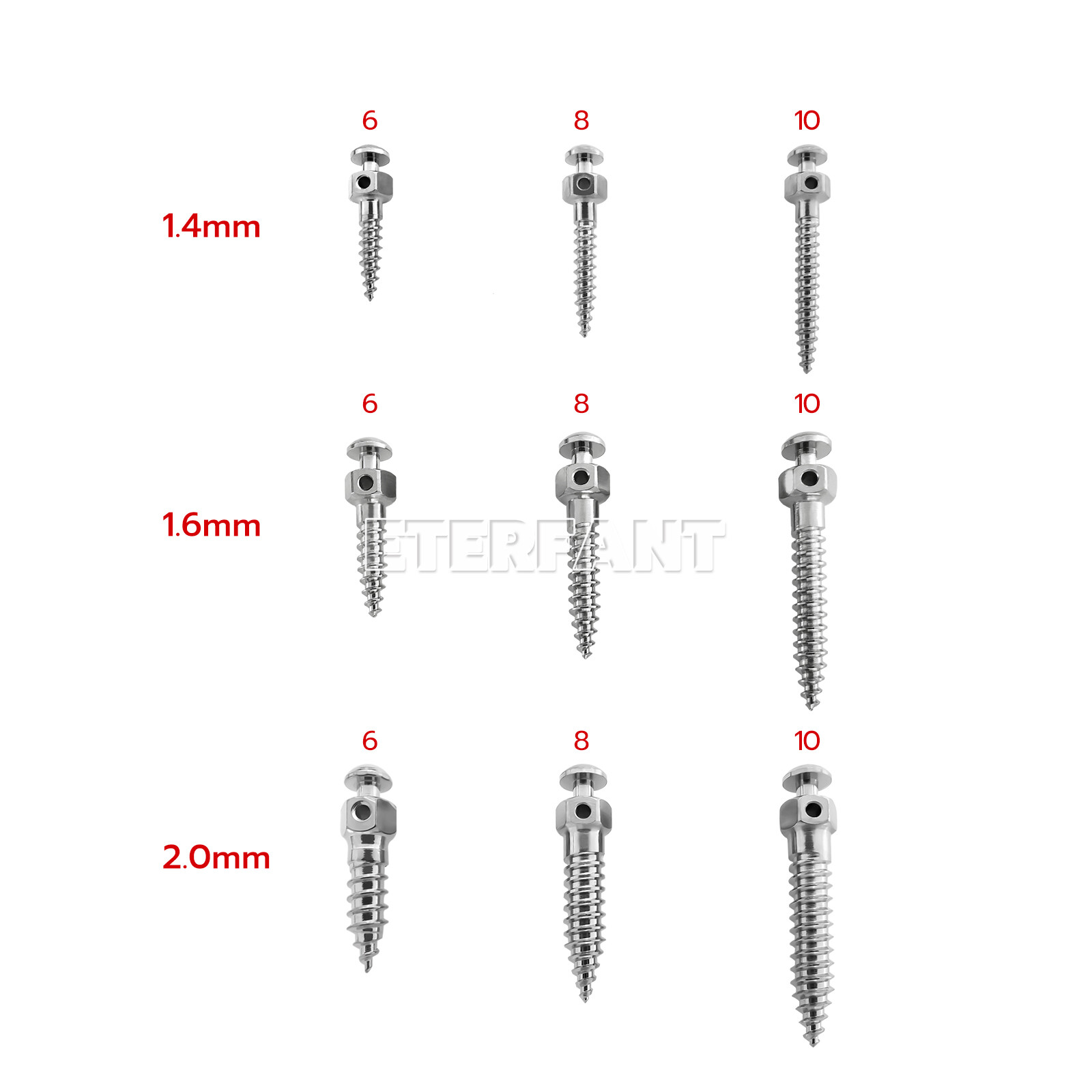 ETERFANT Dental Orthodontic Micro Implants Mini Screw Self-Drilling/Screwdriver