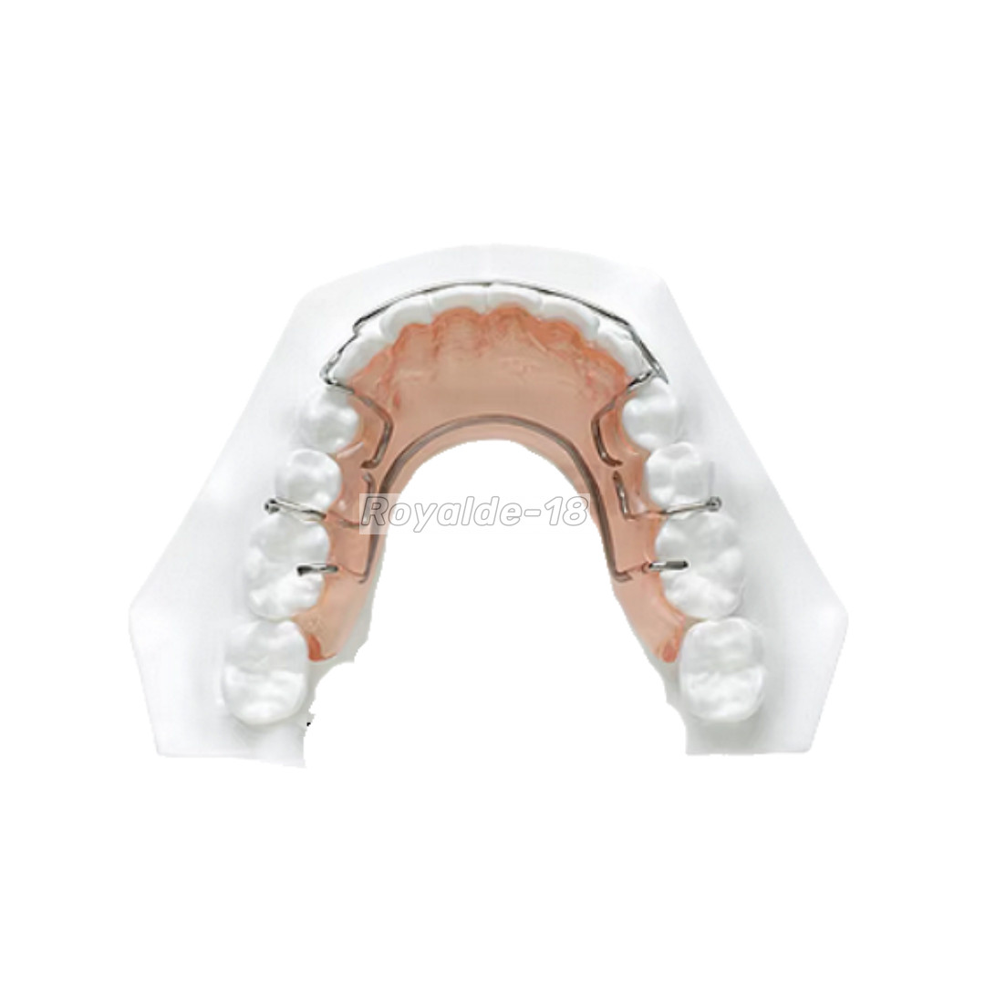 Dental Ortho Ball Retainer Clasps Tooth Hold Position Appliance Dentaurum