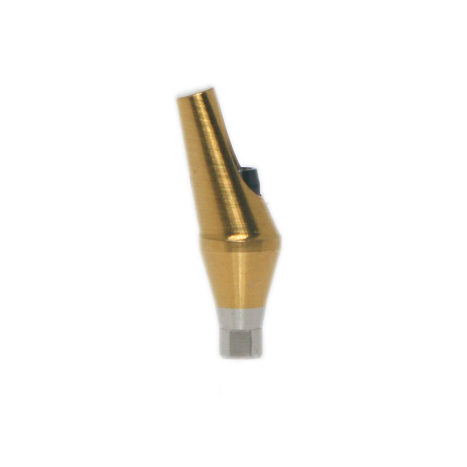 Dental 17° Angled Abutment Anatomic Fits Hiossen Osstem TS Hex Mini Platform