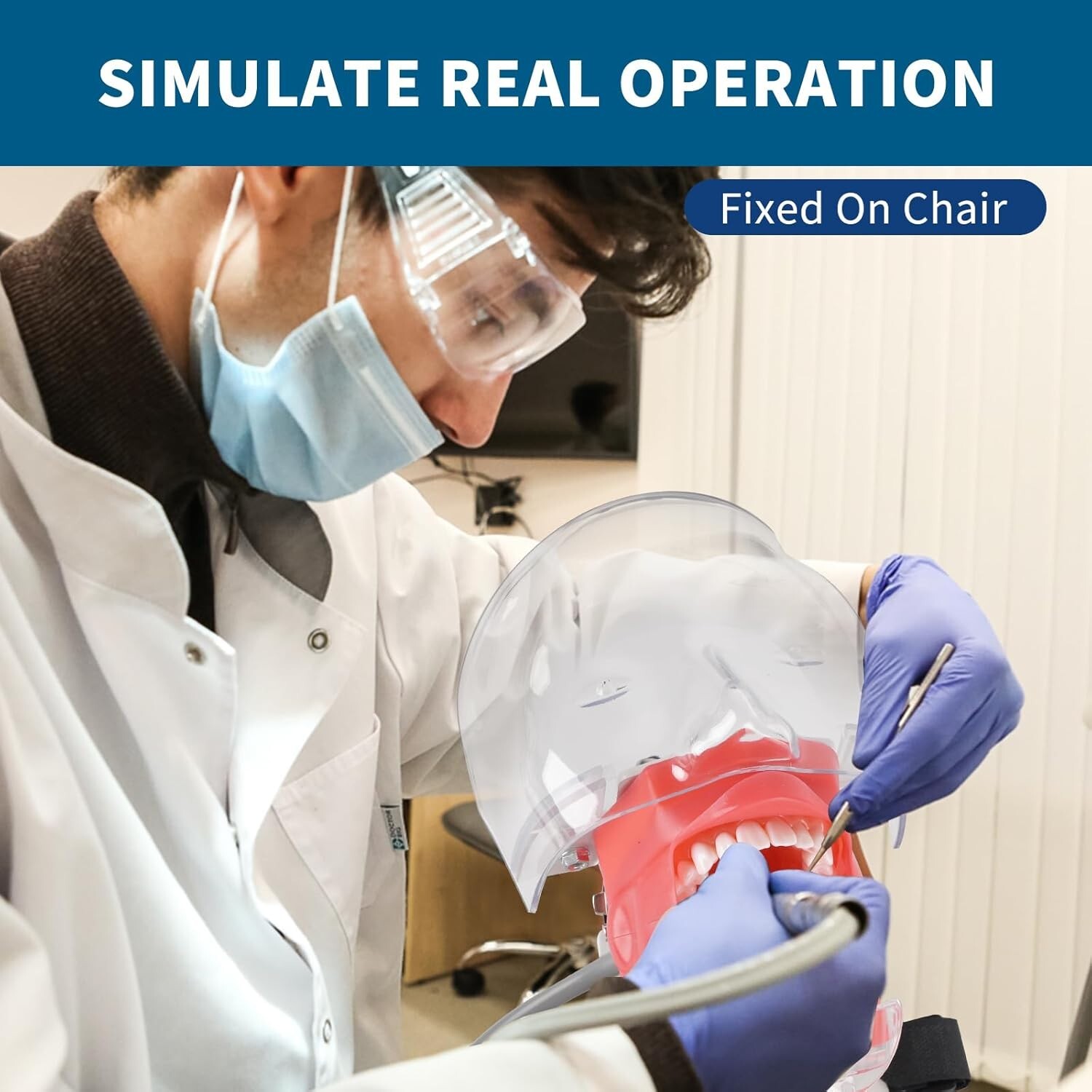 Dental Simulator Mannequin Head Teeth Model Teaching Practicing Head Mold desk