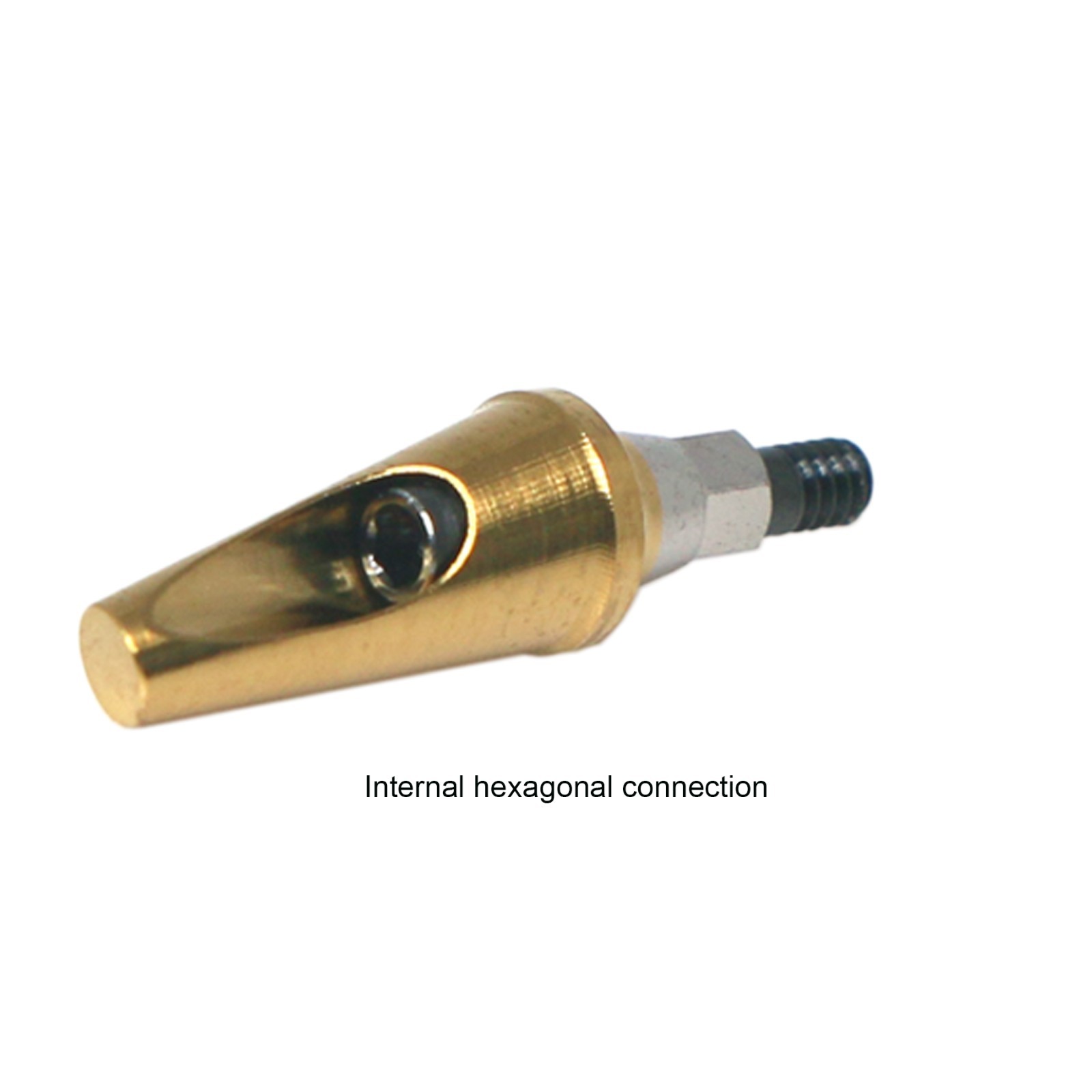 Hiossen ET Dental Angulated 17º Abutment Cement/combination retained prosthesis