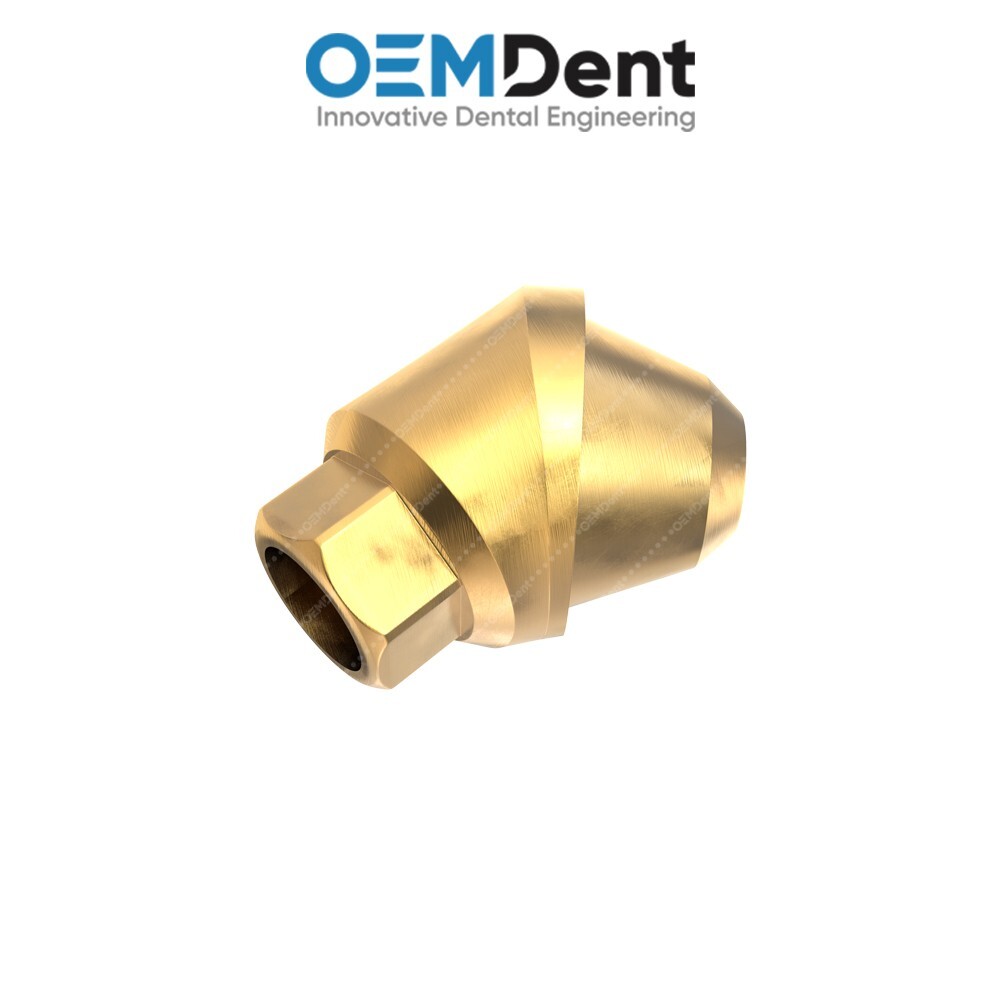 Angulated Multi Unit 1.6 Prosthetic 45° – Ritter® Int Hex 2.42mm Compatible