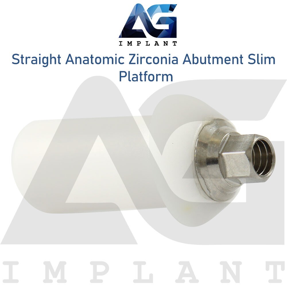 Zirconia Straight Anatomic Prosthetic Slim Titanium Base Hexagon 2.0mm