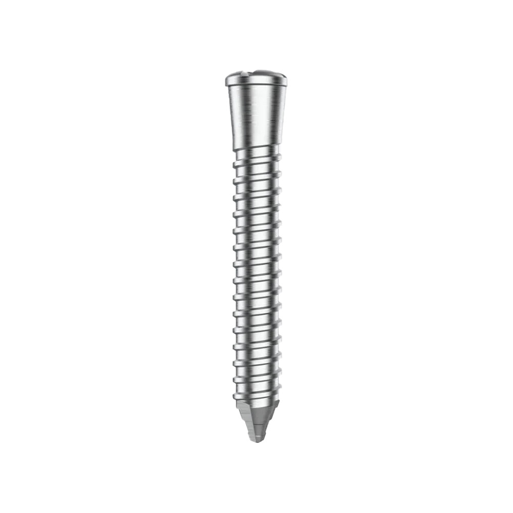 Dental Surg Procedure Fixtures GBR Locking Tenting Screw Titanium Guide