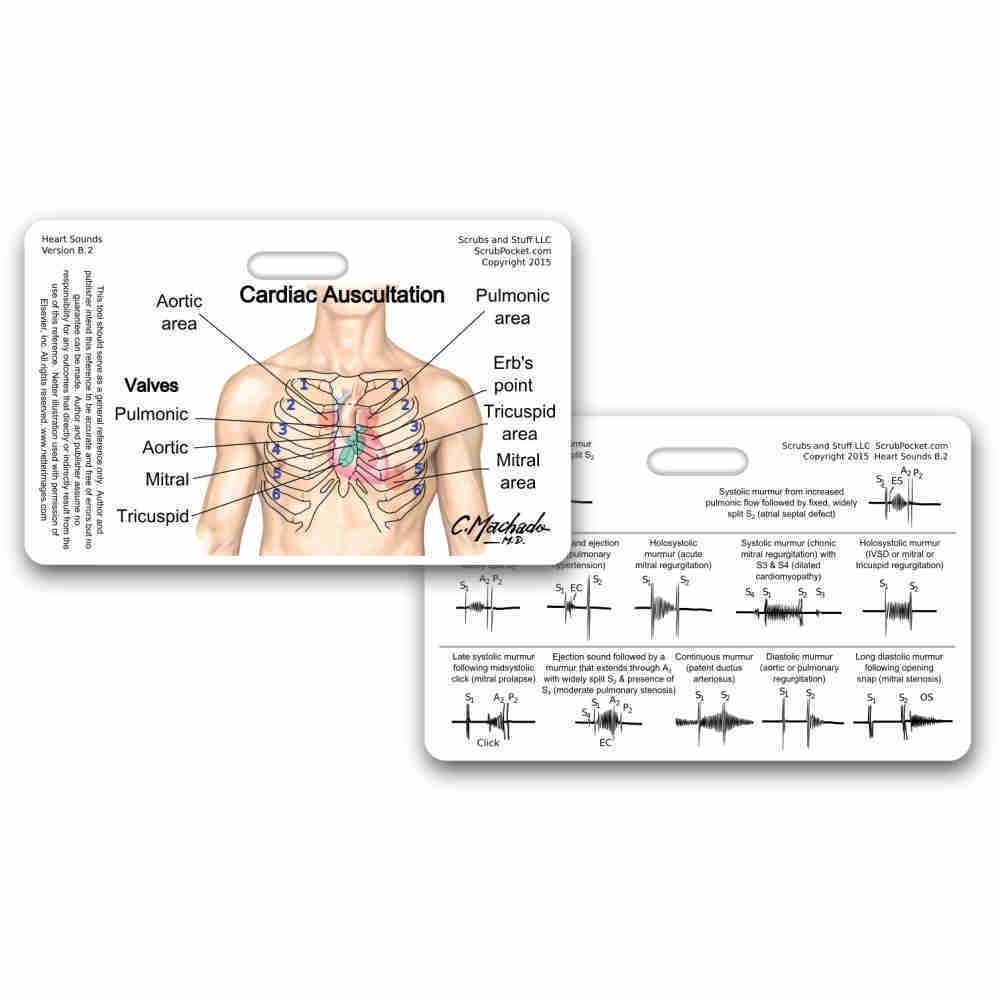 Heart Sounds & Murmur Horz Badge Reference ID Pocket Card Nurse RN MD PA APRN
