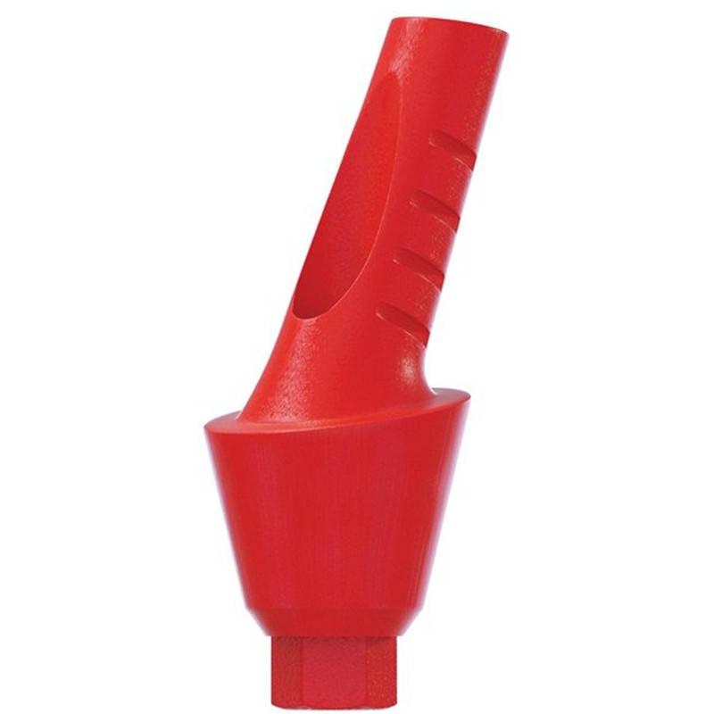 10 Angulated Anatomic Plastic Castable 25° UCLA Prosthetic Int Hex 2.42mm Dental