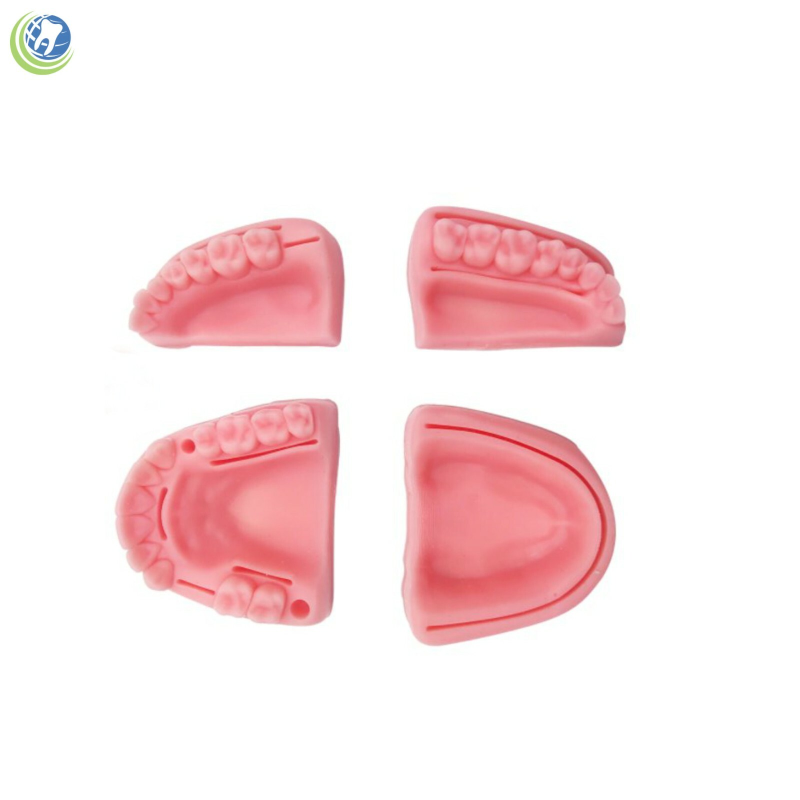 Dental Oral Suture Practice Training Kit 4 Silicon Quadrant Periodental Silicone