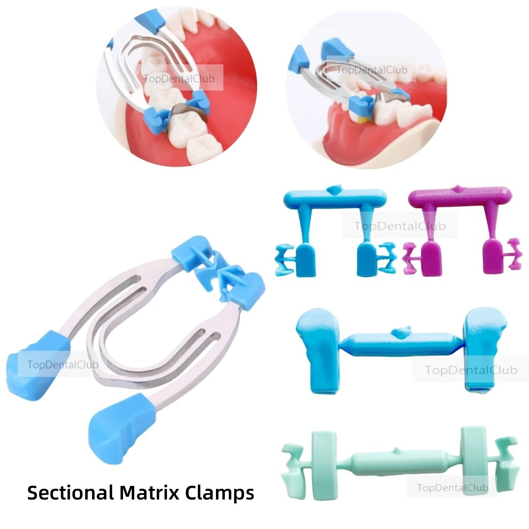 1Box Dental Matrix Sectional Contoured Metal Spring Clip Rings Matrices Clamps