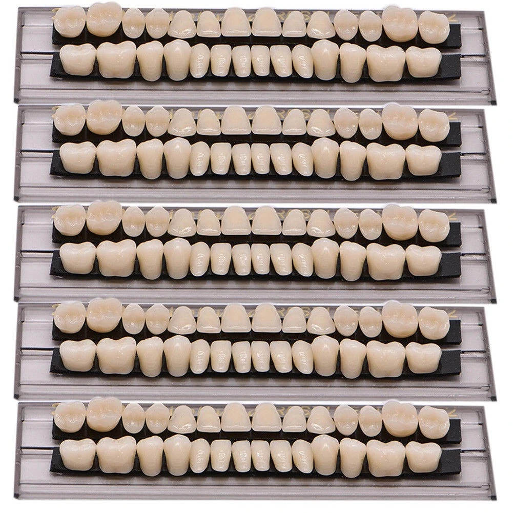 28Pcs Dental High Quality Denture Acrylic Temporary Crown Resin Full Teeth A2/A3