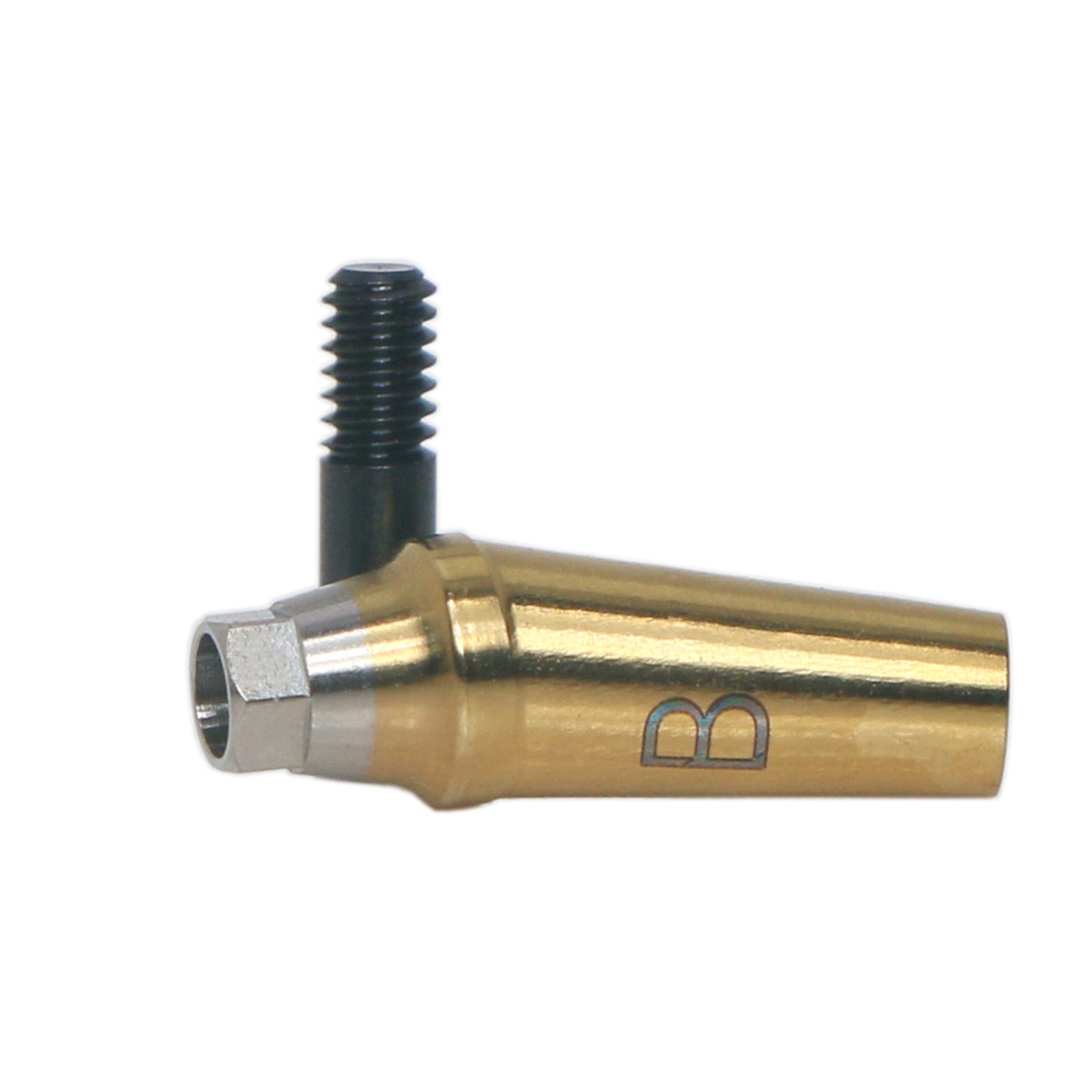 Dental 17° Angled Abutment Anatomic Fits Hiossen Osstem TS Hex Regular Platform
