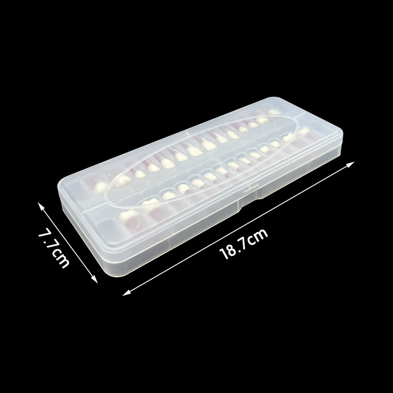 Dental Endodontic Teeth Model 28Pcs Endo RCT Practice Pulp Blocks