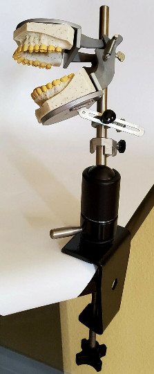 Dental Teeth X-Ray MANIKIN Practice Oral Exam Simulator Training Model Phantom