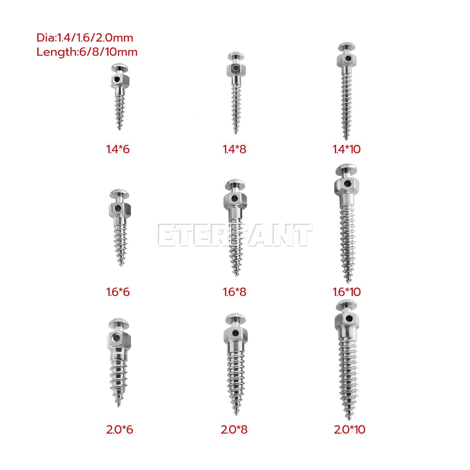 ETERFANT Dental Orthodontic Micro Implants Mini Screw Self-Drilling/Screwdriver