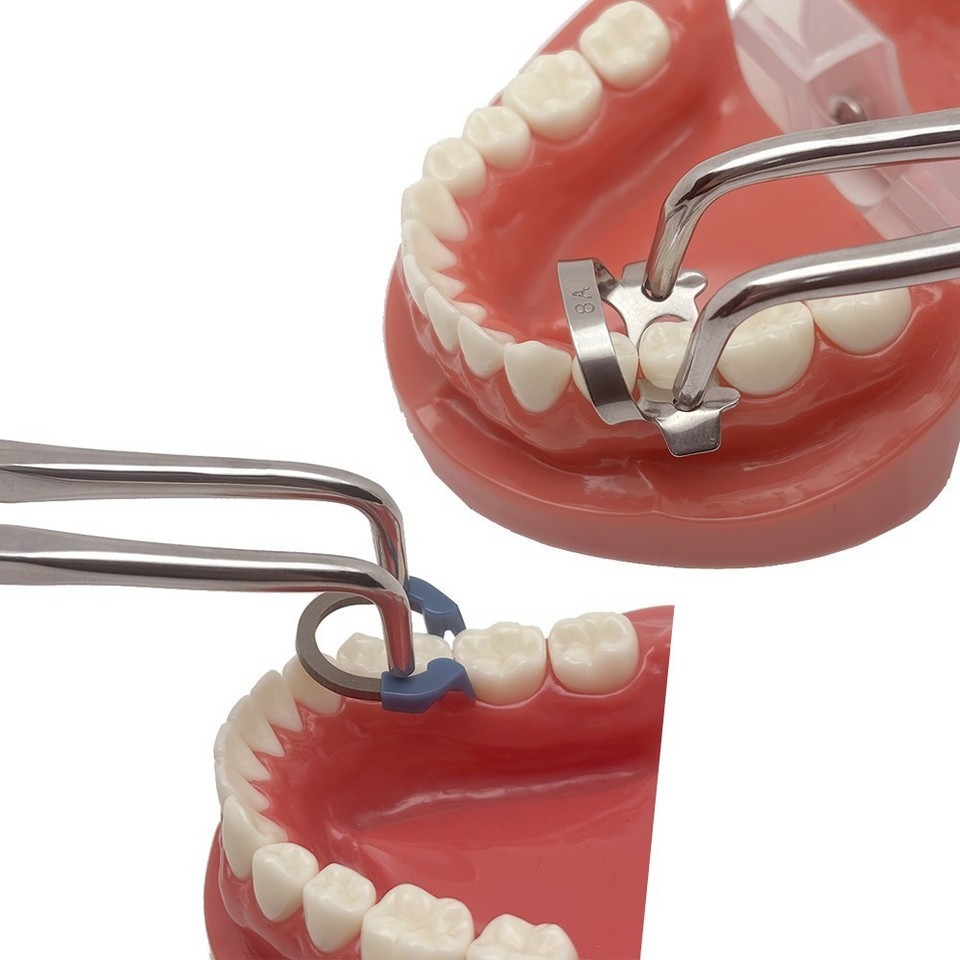 Dental Endodontic Rubber Dam Clamps Stainless Instruments Surgical Clamp