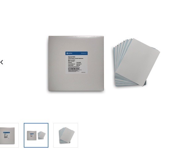 (10) WHATMAN Nytran SPC 0.45um Nylon Blotting Transfer Membrane Sheets 10416230