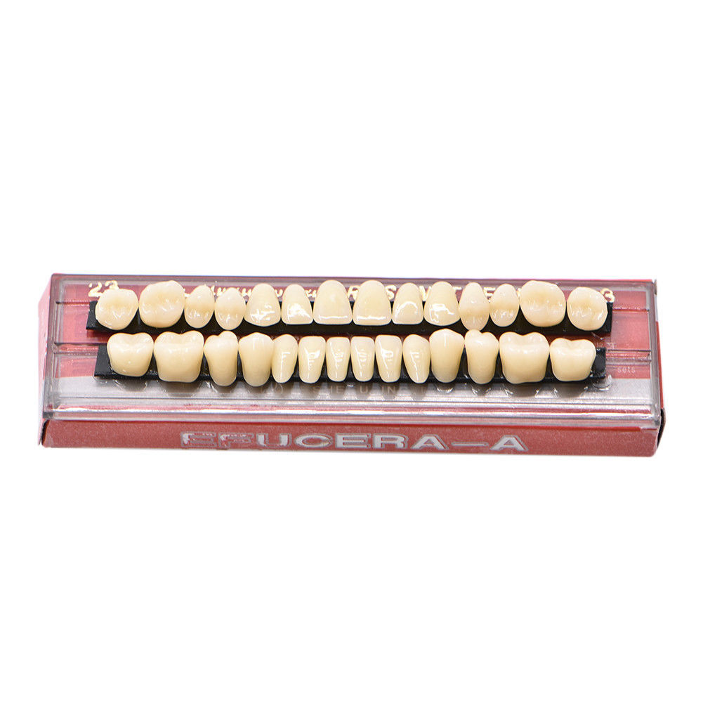 Dental Acrylic Resin Denture False Teeth Temporary A2 A3 Shade 22# 23# 28pcs/set