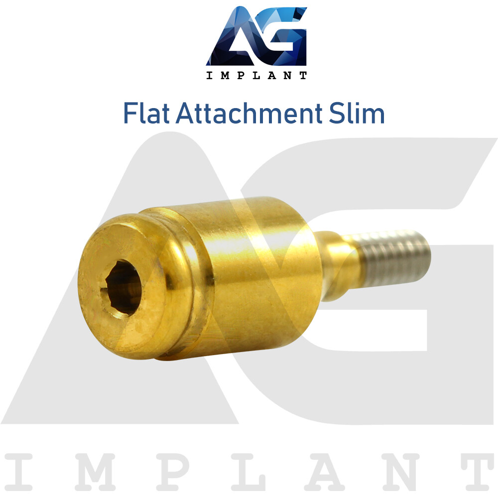 Slim Platform Straight Flat Attachment Standard Set Titanium Int Hexagon 2.0