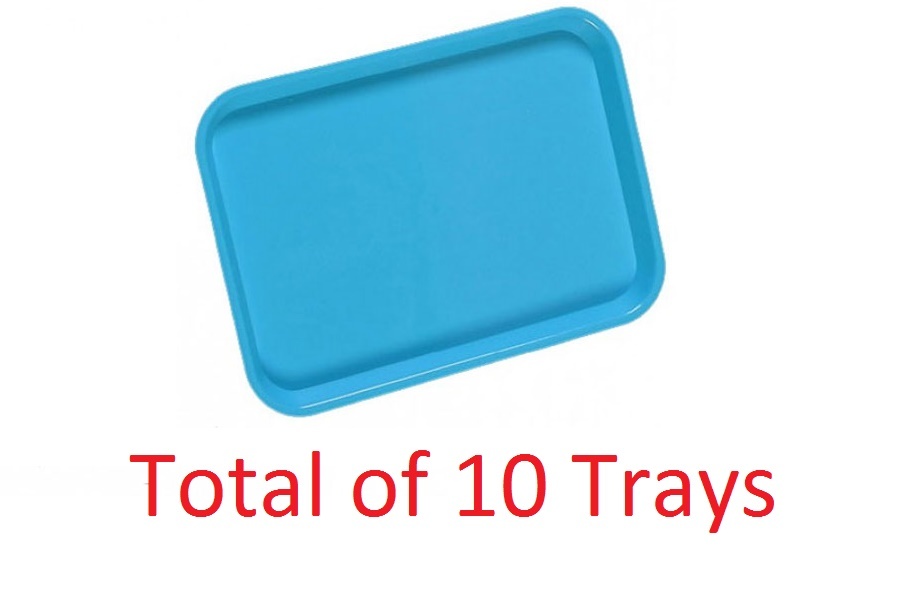 Plasdent Dental Instrument Flat Setup Trays Size B Neon Blue 10/Pack