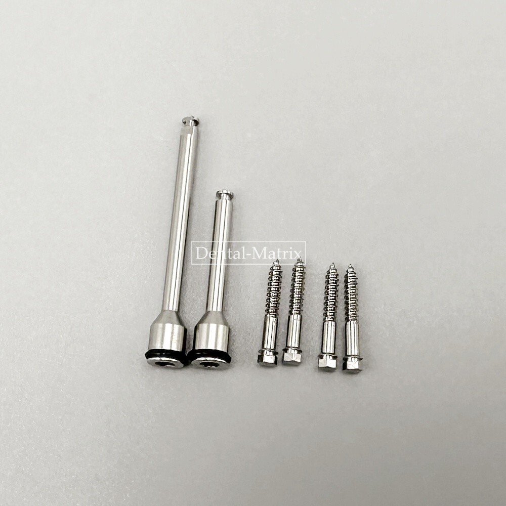 Dental MSE Palatal Split Maxillary Expander Orthodontics Rapid Expansion Screw
