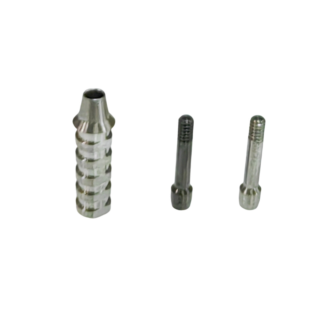 Dental Non-Hex ET Temporary Abutment Mini Regular Ti Screws EbonyGold Osstem 4.0